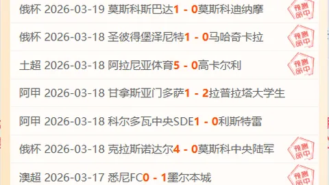 多特蒙德遭连续三场败北，德甲赛场争议判罚频现法兰克福2-0逆袭