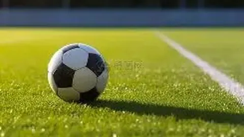 大乐透期号专家推荐：蓝十字质合分析前区十码